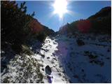 Planina Ravne - Kocbekov dom na Korošici